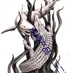 亚精产品(pǐn)一二二(èr)区视在线