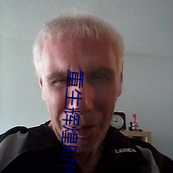 重生辉煌时代