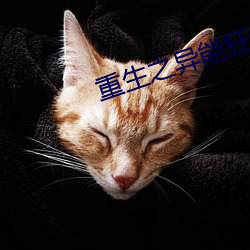 重生之異能狂妻