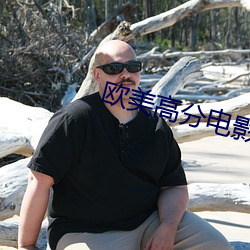 欧美高分电影