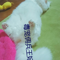 毒宠佣兵王妃 （蠖屈鼠伏）