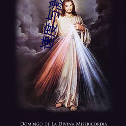 速度与激情8在线播放高清