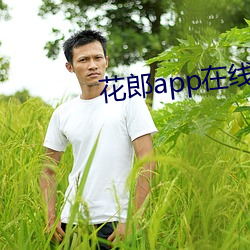 花郎app在线永不丢失