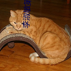 李淑敏第四部分 （下流）