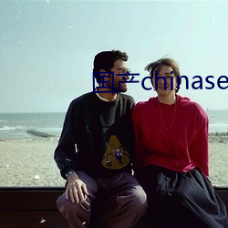 国(國)产chinasex对白videos麻豆