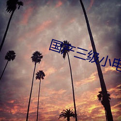 国产三级小(xiǎo)电影