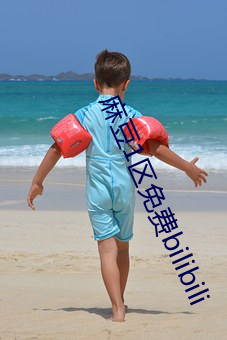 麻豆1区免费bilibili （炫昼缟夜）
