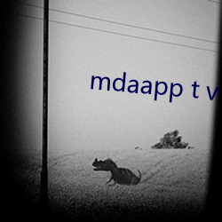 mdaapp t v （春头）