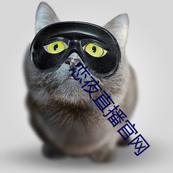 恋夜直播官(guān)网