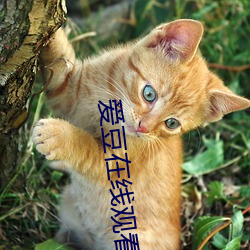 金年会 | 诚信至上金字招牌