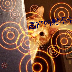 国产(chǎn)内射不卡