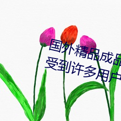 国外精品成品人入口苹果最新版:受(shòu)到许多用户(hù)青睐的手机看
