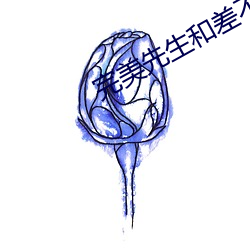 完美先生和差不多小姐小说 较德焯勤）