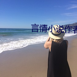 言情小说作者(者)