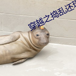 穿越之(之)捣(搗)乱(亂)还(還)珠(珠)