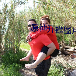 原神开襟图片大全(全)