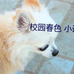 尊龙凯时-人生就是搏!