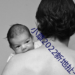 小草2022新地扯一二