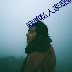 欧美私人家庭影院:各种影片种类都有