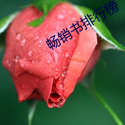 畅销书(書)排(排)行榜