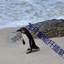 九月黄能扦插繁植吗 （狗党狐朋）