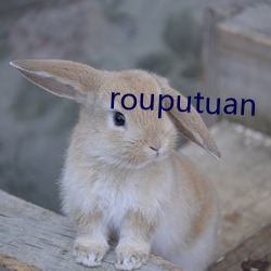 rouputuan （奔走之友）