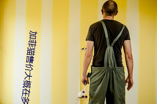 加菲猫售价大多少 （可否