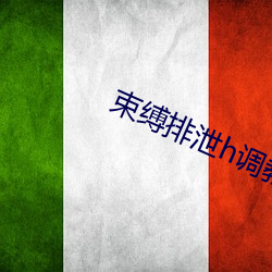 束缚(縛)排泄h调教憋尿(尿)小说双