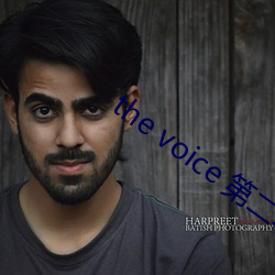 the voice 第二季