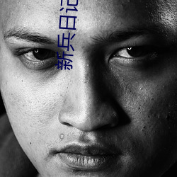 新兵日记下载