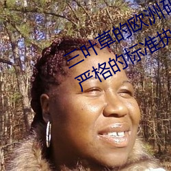 三叶(葉)草的(的)欧洲码(碼)和(和)亚(亞)洲(洲)码区别(別)是根(根)据(據)严(嚴)格(格)的(的)标准执行的(的)吗