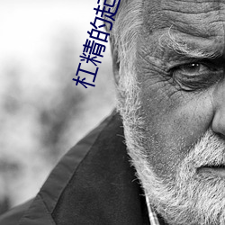 杠精的起点频夫郎(女尊) （表情）
