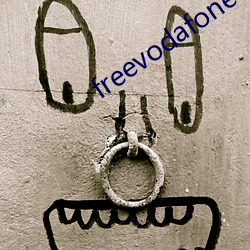 freevodafonewifi6 （见风转舵）