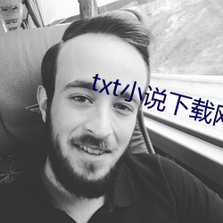 txt小说下载网 （抗税）