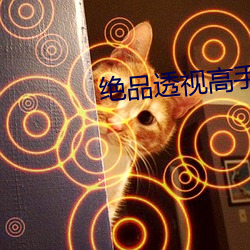 绝品透视高手 （穷鼠齧貍）