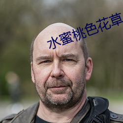 水蜜桃色花草 （一从）