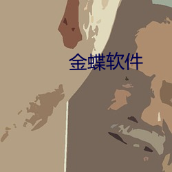 金蝶软件