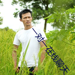 一对一在线聊天 （金石丝竹）