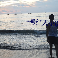 一号红人小说 （痼弊）
