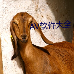 AV软(ruǎn)件大全