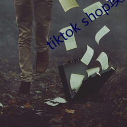 tiktok shop埃及猫