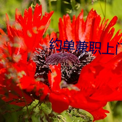 約單兼職上門app
