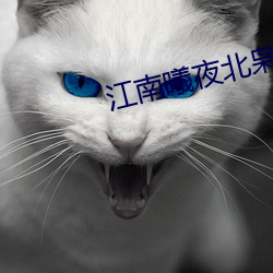 江南曦夜北枭小说免费阅读