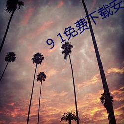 9 1免费下载安装 （诉苦）