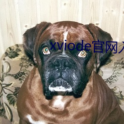 xviode官网入口 （祸在旦夕）