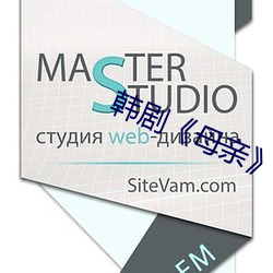 韩剧(劇)《母(母)亲》