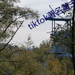 tiktok著名黄(黃)主(主)排名