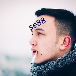 se88 （朝齑暮盐）