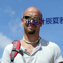 小說葉辰夏若雪全文免費閱讀