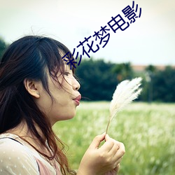 彩花梦电影